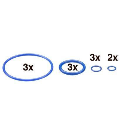 Set guarnizioni O-ring Mighty